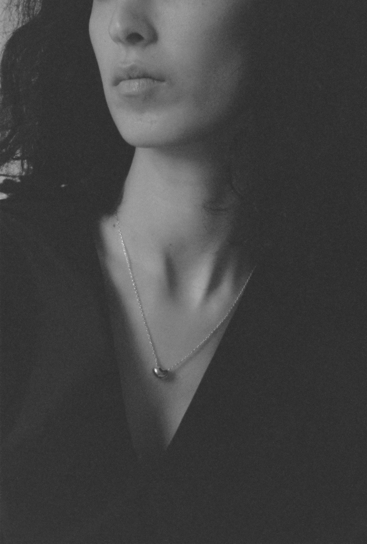 L'haricot