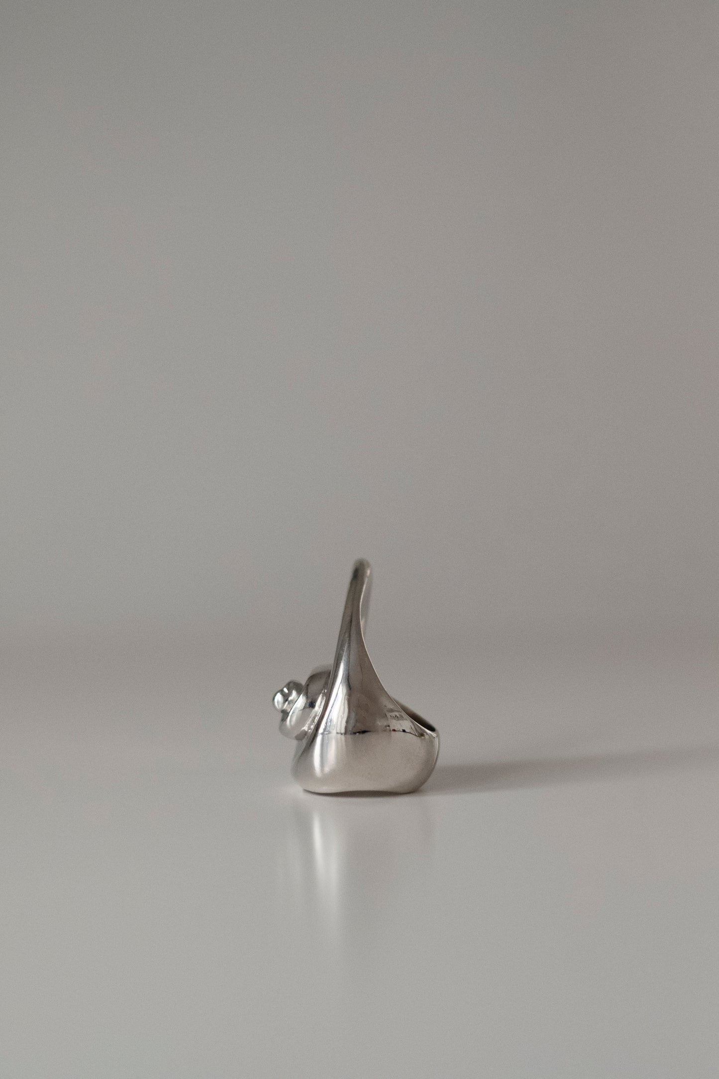 Nautilus Ring