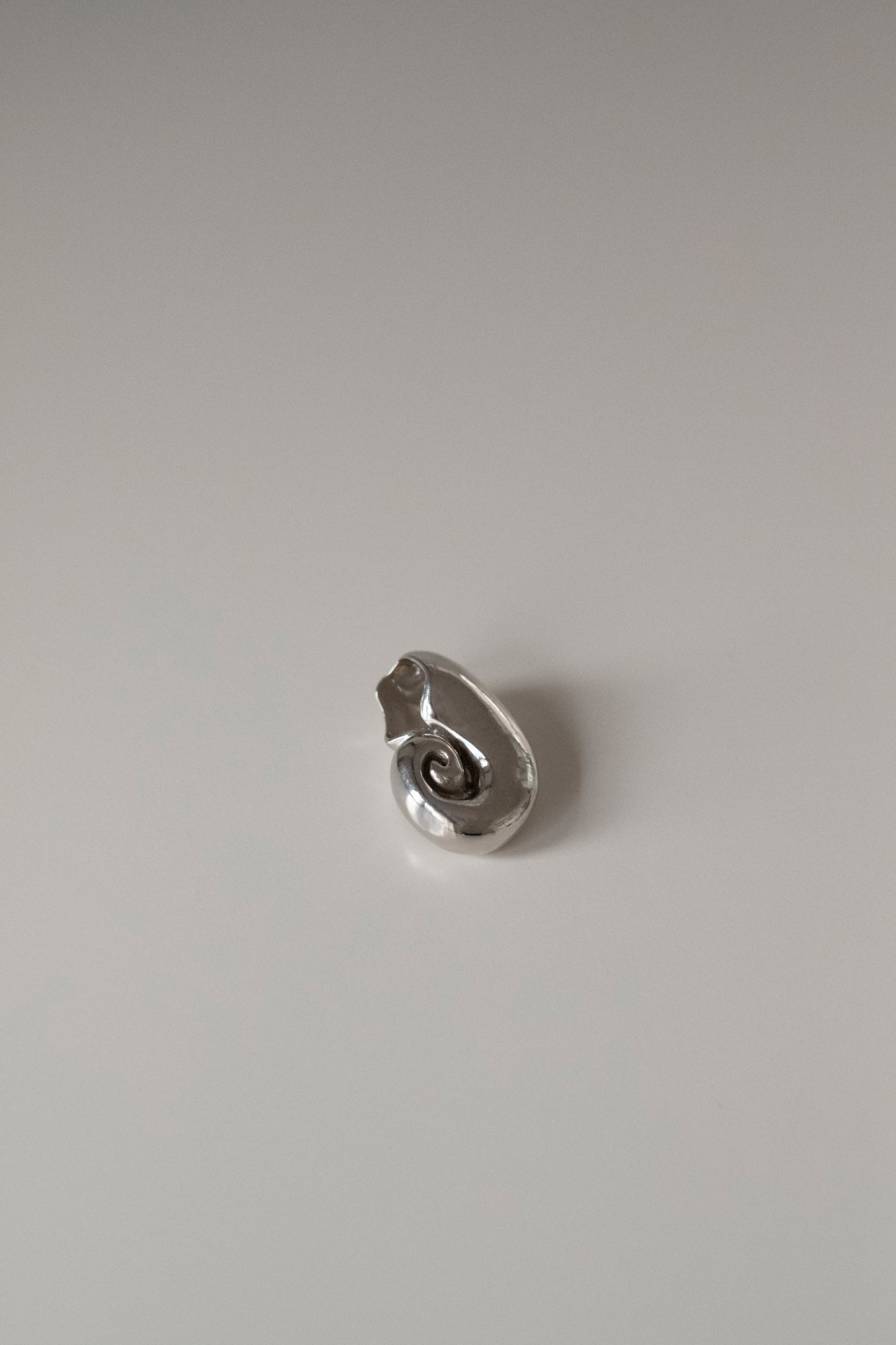 Mini Nautilus Pendant Necklace