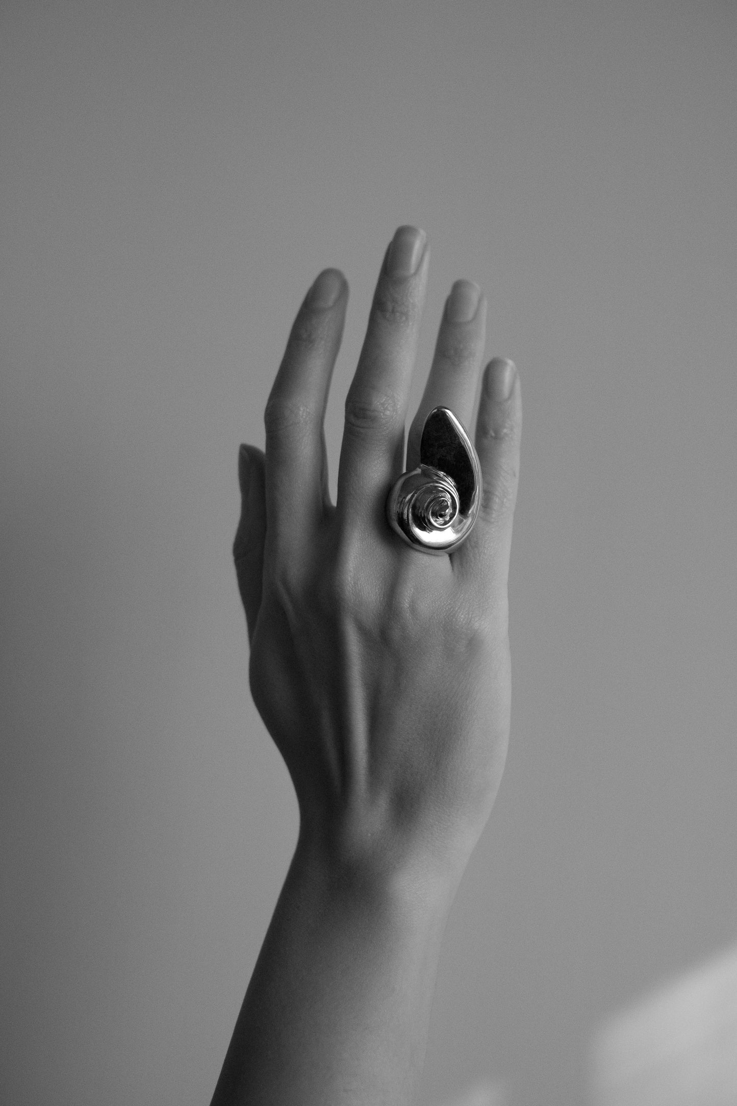 Nautilus Ring