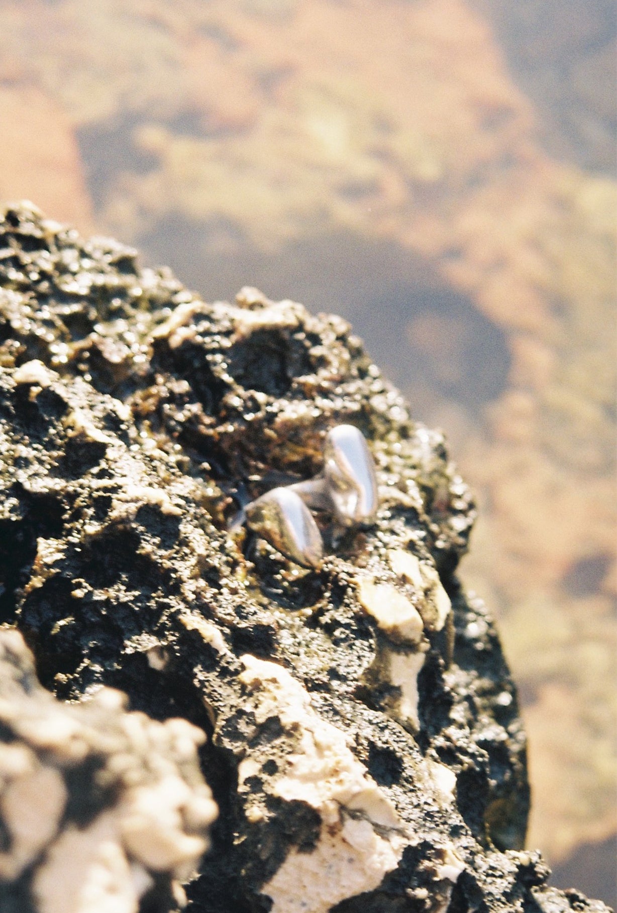 Double Figure Ring