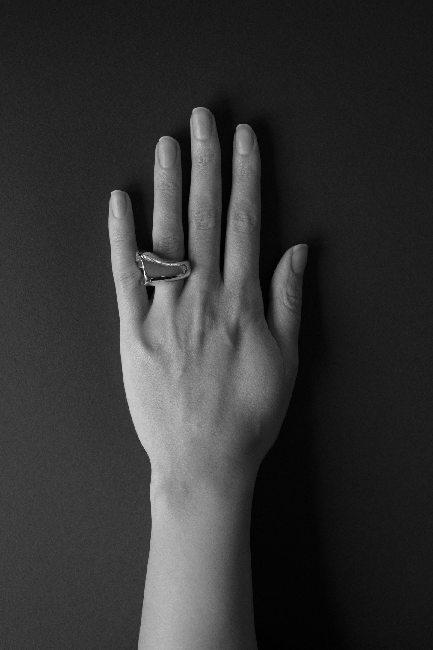 Shell Ring