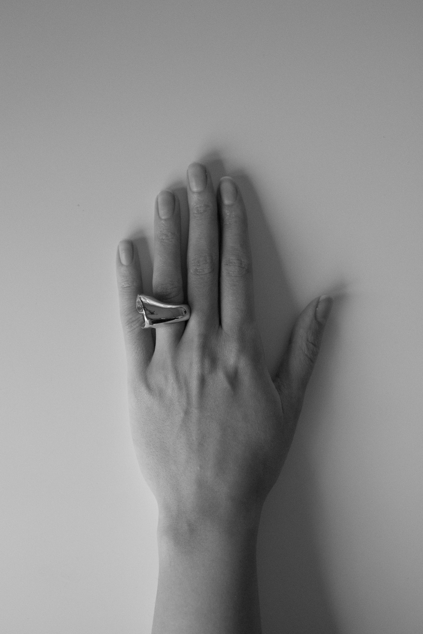 Shell Ring