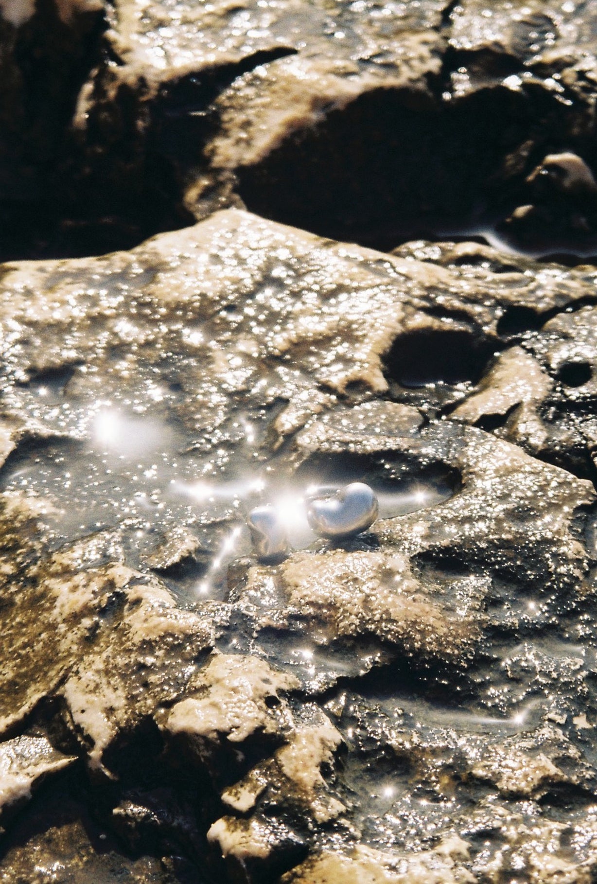 Two Forms Ring